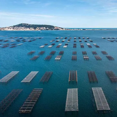 아파트 Les Quilles 세테