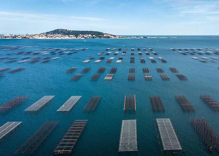 Apartman Les Quilles Sète